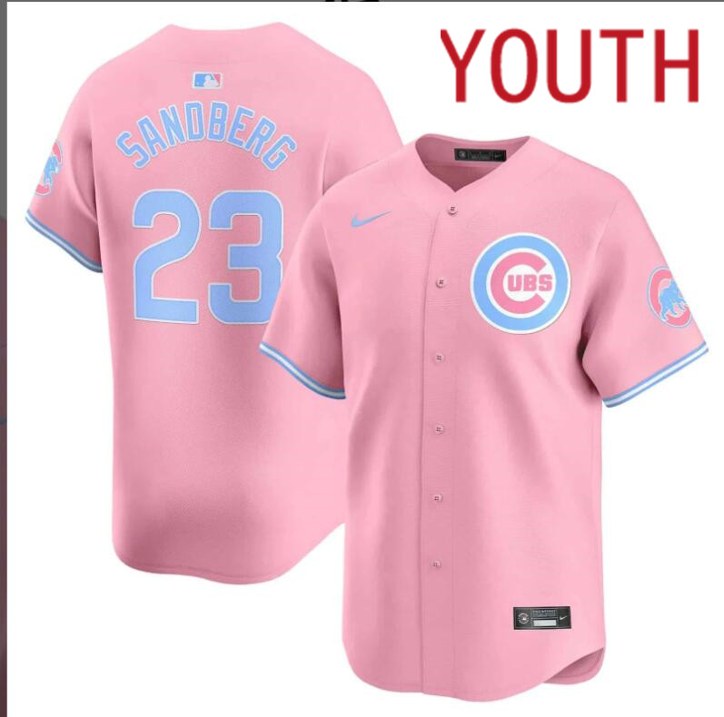 Youth Chicago Cubs #23 Sandberg pink 2024 Nike MLB jersey->youth nfl jersey->Youth Jersey
